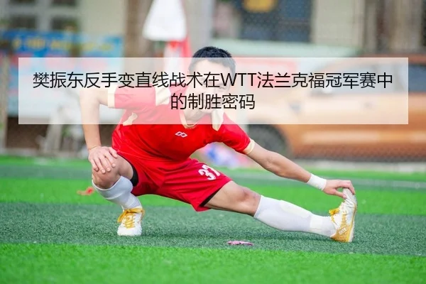 樊振东反手变直线战术在WTT法兰克福冠军赛中的制胜密码